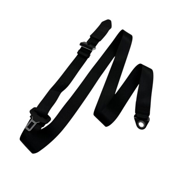 Static Lap Sash 2 Point Seatbelt
